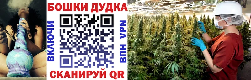 KRAKEN ССЫЛКА  купить наркотики цена  Бабаево  МАРИХУАНА SATIVA & INDICA 